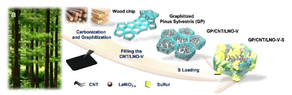 复合电极（GP/CNT/LNO-V-S）的制备示意图